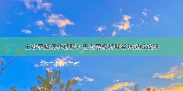 王者荣耀怎样打野？王者荣耀打野经济进阶攻略