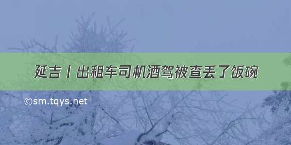 延吉丨出租车司机酒驾被查丢了饭碗