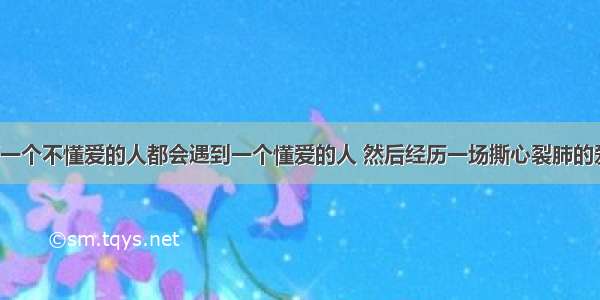 【转帖】每一个不懂爱的人都会遇到一个懂爱的人 然后经历一场撕心裂肺的爱情。不懂爱