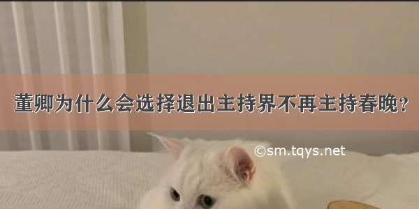 董卿为什么会选择退出主持界不再主持春晚？