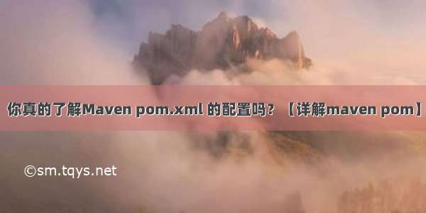 你真的了解Maven pom.xml 的配置吗？【详解maven pom】