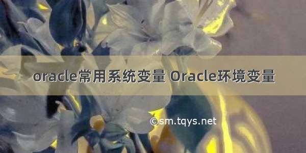 oracle常用系统变量 Oracle环境变量