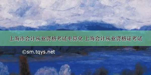 上海市会计从业资格考试电算化 上海会计从业资格证考试