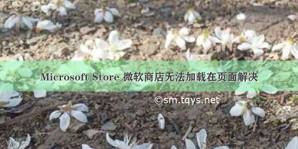 Microsoft Store 微软商店无法加载在页面解决