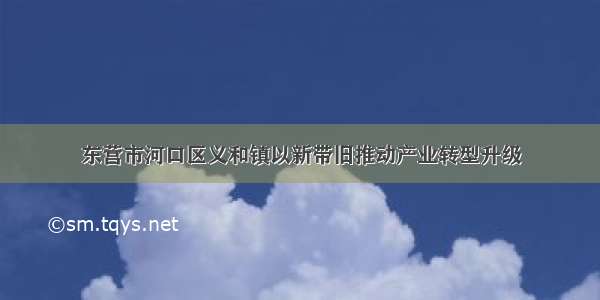 东营市河口区义和镇以新带旧推动产业转型升级