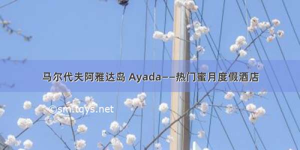 马尔代夫阿雅达岛 Ayada——热门蜜月度假酒店