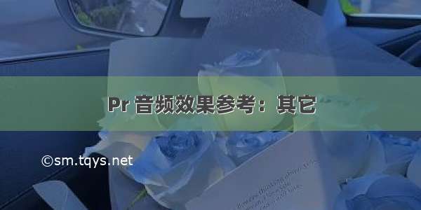 Pr 音频效果参考：其它