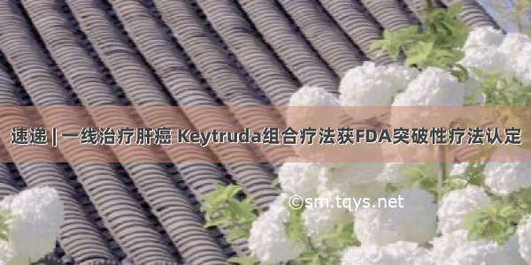 速递 | 一线治疗肝癌 Keytruda组合疗法获FDA突破性疗法认定