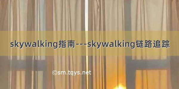 skywalking指南---skywalking链路追踪
