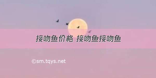 接吻鱼价格 接吻鱼接吻鱼