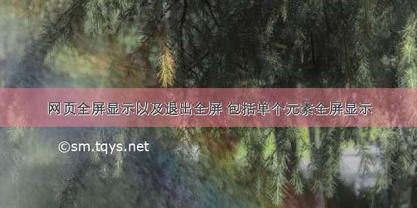 网页全屏显示以及退出全屏 包括单个元素全屏显示