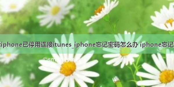 苹果手机显示iphone已停用连接itunes_iphone忘记密码怎么办 iphone忘记密码解决方法