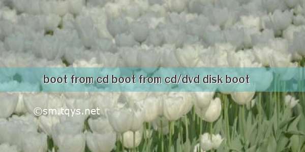 boot from cd boot from cd/dvd disk boot