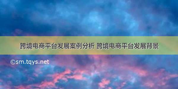 跨境电商平台发展案例分析 跨境电商平台发展背景