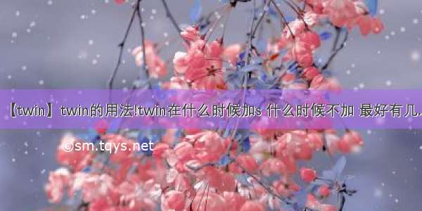 【twin】twin的用法!twin在什么时候加s 什么时候不加 最好有几....