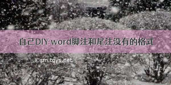 自己DIY word脚注和尾注没有的格式