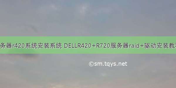 戴尔服务器r420系统安装系统 DELLR420+R720服务器raid+驱动安装教程.docx