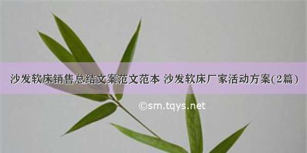 沙发软床销售总结文案范文范本 沙发软床厂家活动方案(2篇)