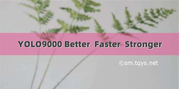 YOLO9000 Better  Faster  Stronger