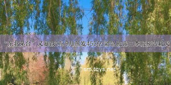 “东北茅台”又暴跌5% 9月蒸发455亿 紧急披露三季报预告救火！