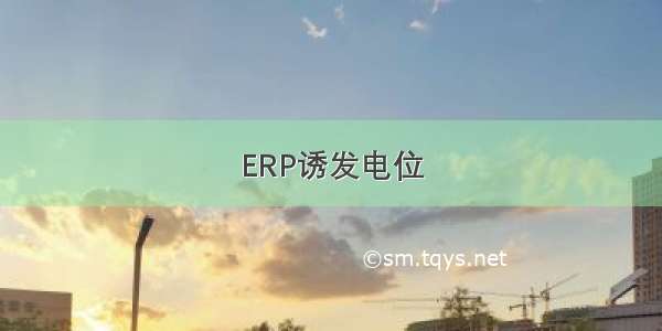 ERP诱发电位