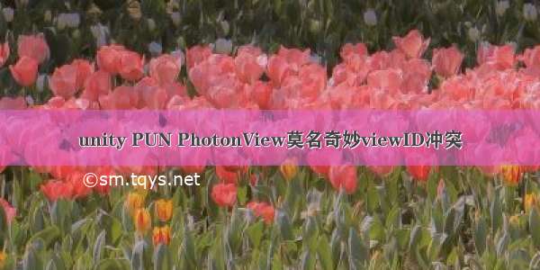 unity PUN PhotonView莫名奇妙viewID冲突