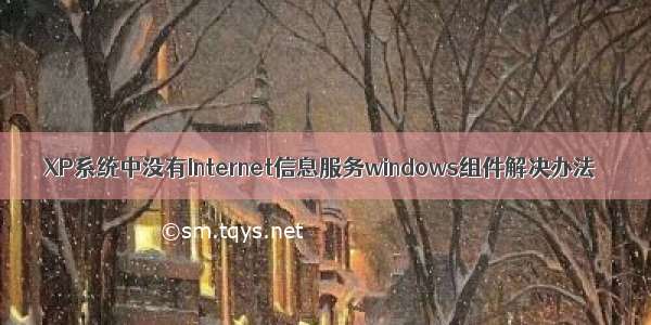 XP系统中没有Internet信息服务windows组件解决办法