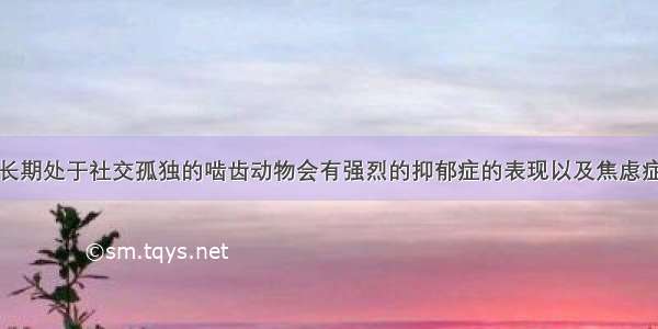 长期处于社交孤独的啮齿动物会有强烈的抑郁症的表现以及焦虑症