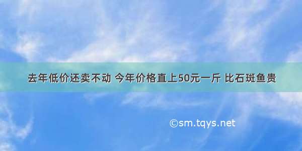 去年低价还卖不动 今年价格直上50元一斤 比石斑鱼贵