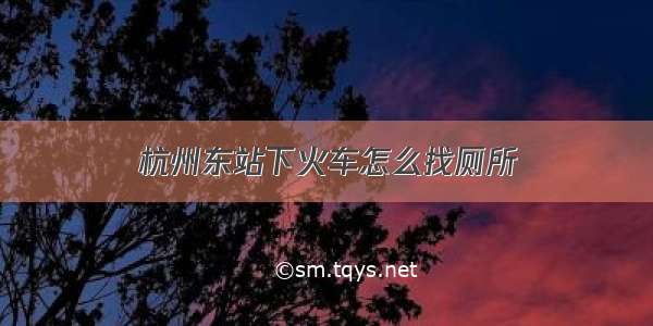 杭州东站下火车怎么找厕所