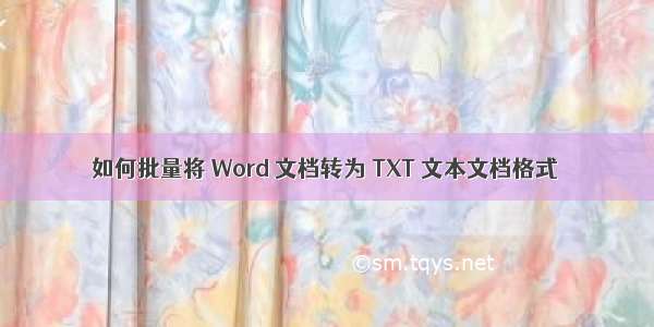 如何批量将 Word 文档转为 TXT 文本文档格式