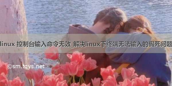 linux 控制台输入命令无效_解决linux下终端无法输入的假死问题