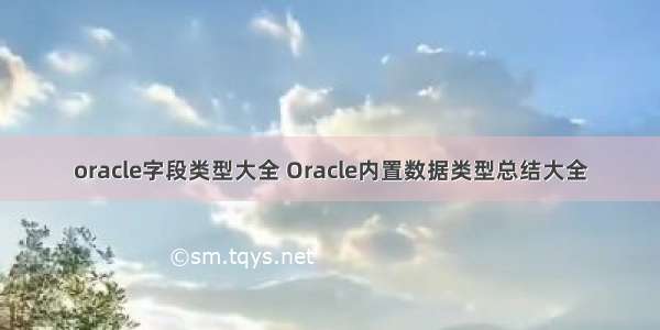 oracle字段类型大全 Oracle内置数据类型总结大全