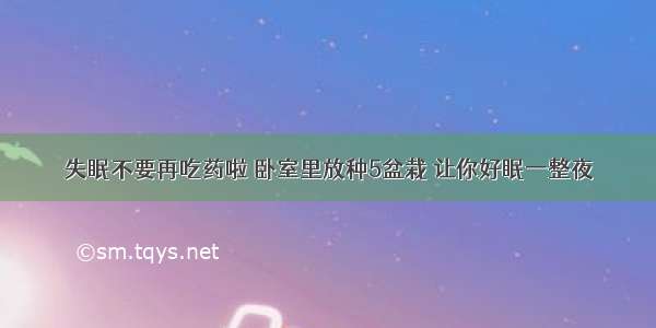 失眠不要再吃药啦 卧室里放种5盆栽 让你好眠一整夜