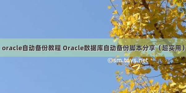oracle自动备份教程 Oracle数据库自动备份脚本分享（超实用）