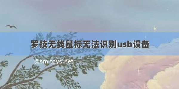 罗技无线鼠标无法识别usb设备