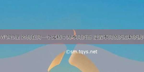 WORD里 如何在同一个文档中为不同页面 设置不同的页眉和页脚