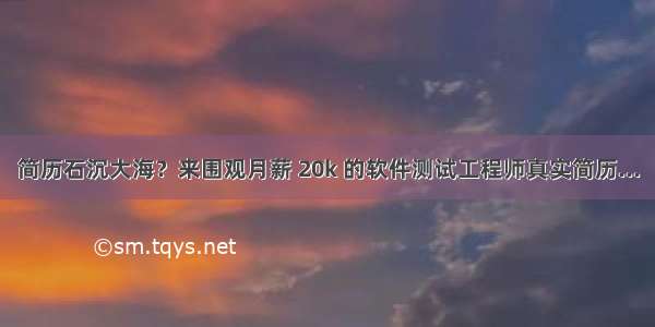 简历石沉大海？来围观月薪 20k 的软件测试工程师真实简历...