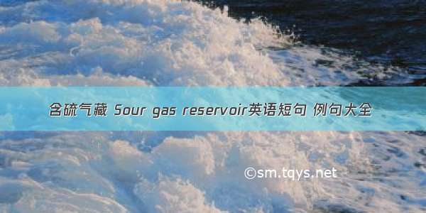 含硫气藏 Sour gas reservoir英语短句 例句大全