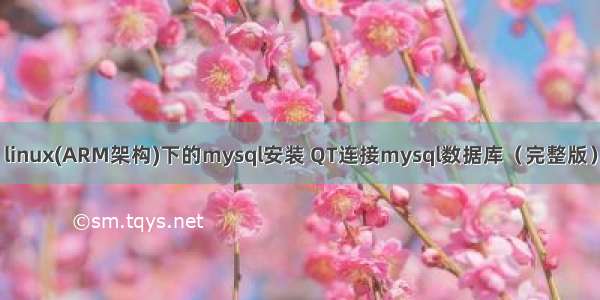 linux(ARM架构)下的mysql安装 QT连接mysql数据库（完整版）