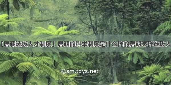 【唐朝选拔人才制度】唐朝的科举制度是什么样的唐朝怎样选拔人才