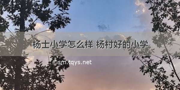 杨士小学怎么样 杨村好的小学