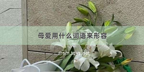 母爱用什么词语来形容