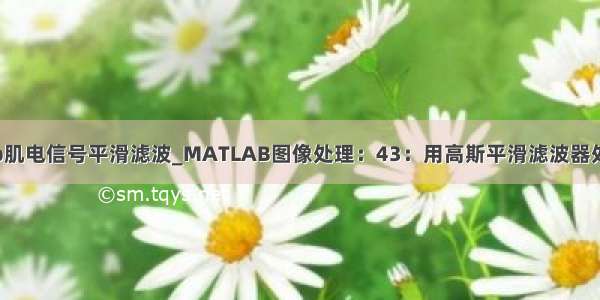 matlab肌电信号平滑滤波_MATLAB图像处理：43：用高斯平滑滤波器处理图像