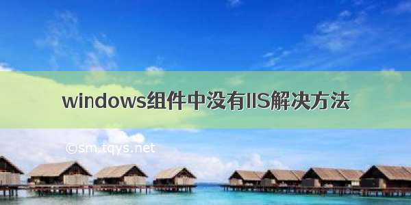 windows组件中没有IIS解决方法