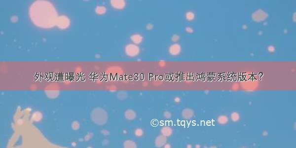 外观遭曝光 华为Mate30 Pro或推出鸿蒙系统版本？