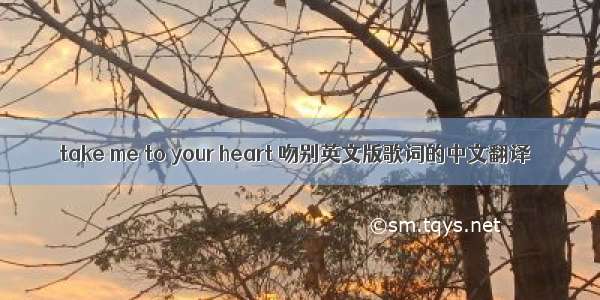 take me to your heart 吻别英文版歌词的中文翻译