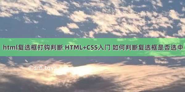 html复选框打钩判断 HTML+CSS入门 如何判断复选框是否选中