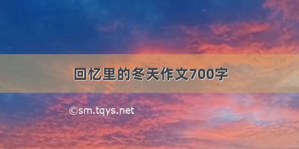 回忆里的冬天作文700字