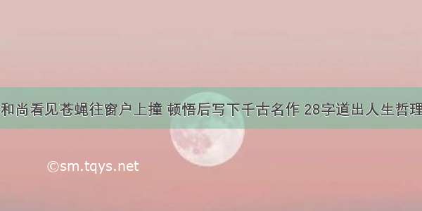 和尚看见苍蝇往窗户上撞 顿悟后写下千古名作 28字道出人生哲理